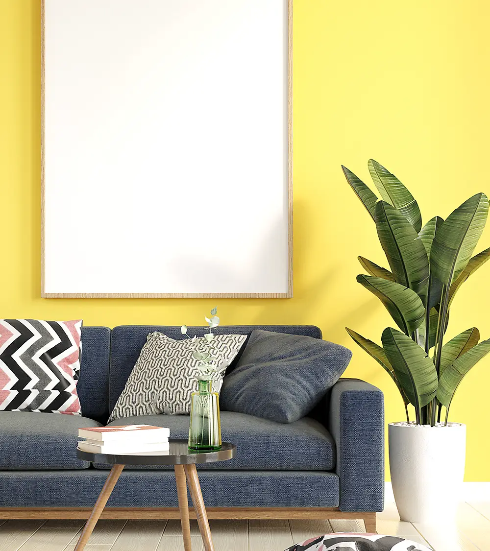 Funciones de los pintores en Ripollet